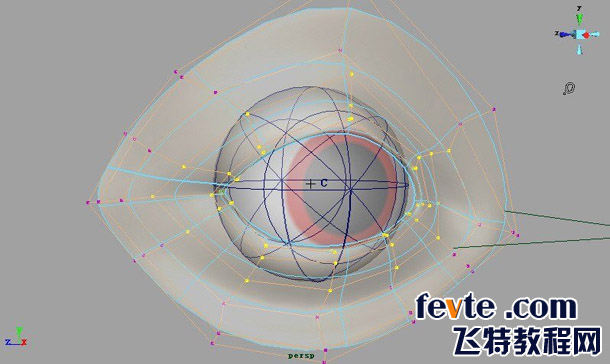 MAYA制作眼球转动动画教程 脚本之家 MAYA角色动画教程