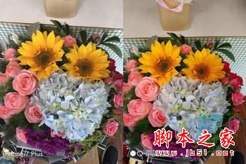 小米6和iPhone7Plus哪个值得买？苹果7plus和小米6全面区别对比评测