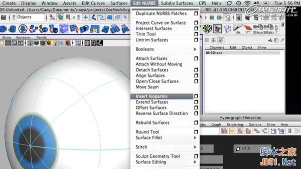 使用Maya的约束控制眼球 脚本之家 MAYA动画教程