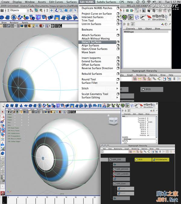 使用Maya的约束控制眼球 脚本之家 MAYA动画教程