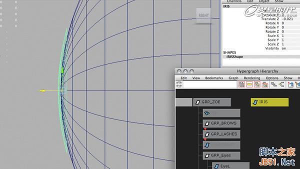 使用Maya的约束控制眼球 脚本之家 MAYA动画教程