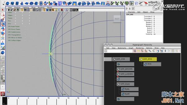 使用Maya的约束控制眼球 脚本之家 MAYA动画教程