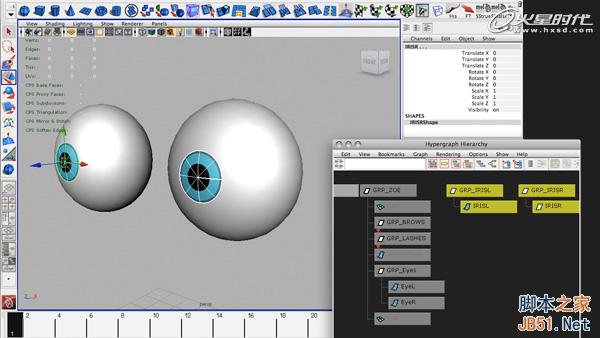 使用Maya的约束控制眼球 脚本之家 MAYA动画教程