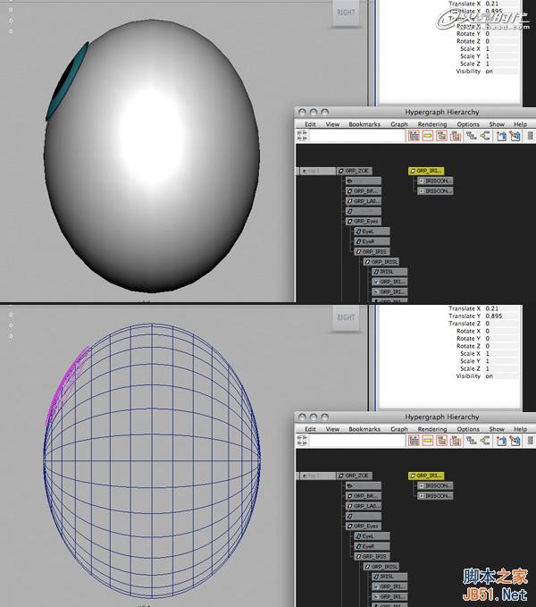 使用Maya的约束控制眼球 脚本之家 MAYA动画教程