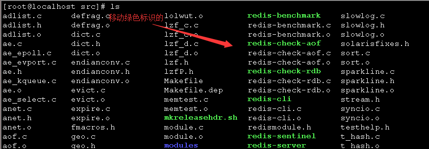 移动到bin文件夹