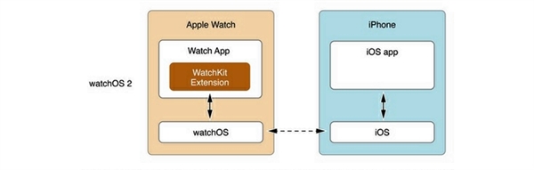 为什么苹果当初没让应用直接跑在Apple Watch上?