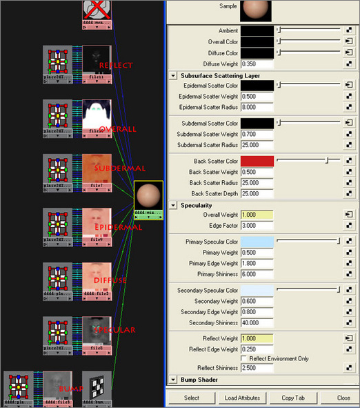 Maya制作树蝶美女角色教程 脚本之家 MAYA角色动画教程