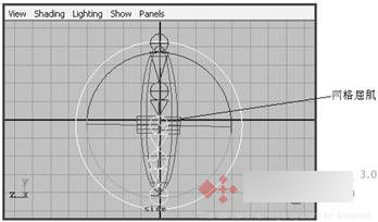 Maya 7.0 骨骼动画-屈肌功能 脚本之家 MAYA角色动画教程