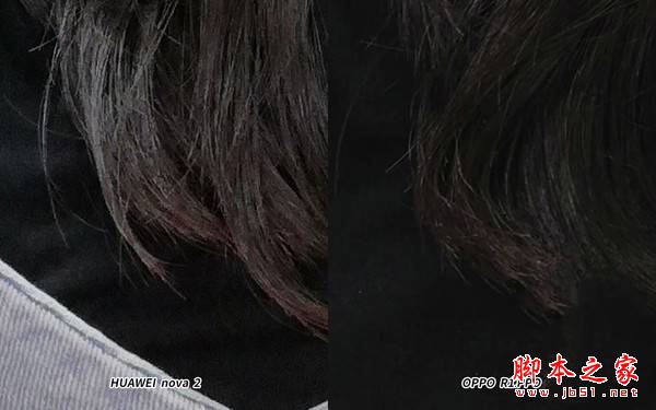 室内样张放大 室内样张放大