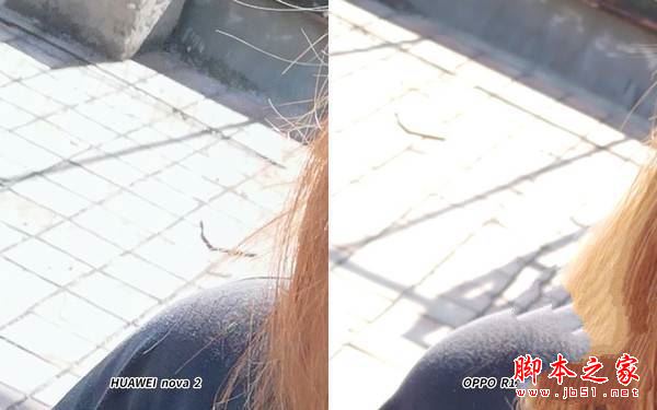 逆光自拍放大 逆光自拍放大