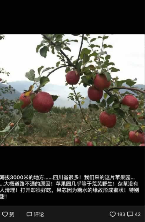 饥饿营销方程式:微信3周0-1万粉丝且实现销售的技巧 经验心得 第1张