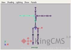 Maya 7.0 骨骼动画-骨骼动力学 脚本之家 MAYA角色动画教程