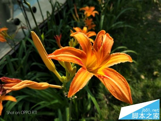 OPPOR11和华为Nova2 plus哪个值得买?HUAWEI nova2 Plus全面对比OPPO R11