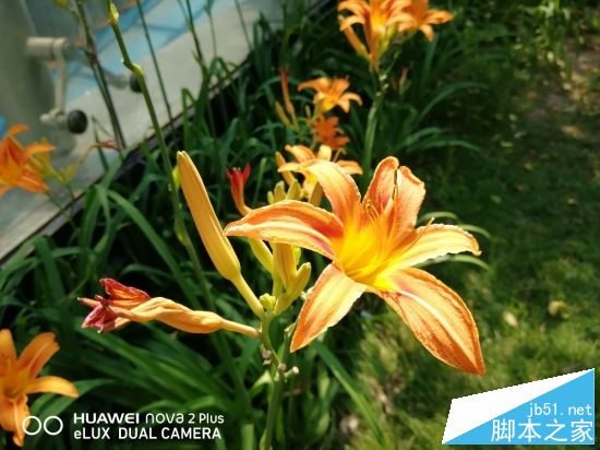 OPPOR11和华为Nova2 plus哪个值得买?HUAWEI nova2 Plus全面对比OPPO R11