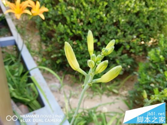 OPPOR11和华为Nova2 plus哪个值得买?HUAWEI nova2 Plus全面对比OPPO R11