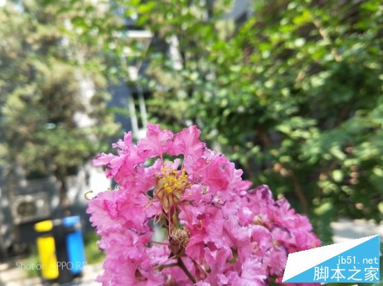 OPPOR11和华为Nova2 plus哪个值得买?HUAWEI nova2 Plus全面对比OPPO R11