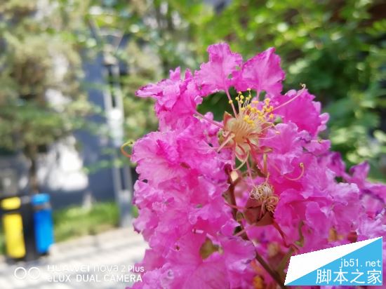 OPPOR11和华为Nova2 plus哪个值得买?HUAWEI nova2 Plus全面对比OPPO R11