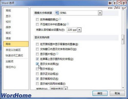 选中显示文本动画复选框