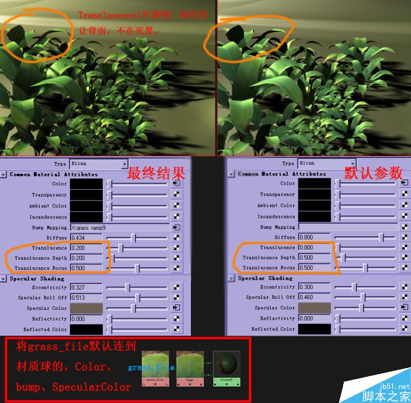 Maya打造真实热带雨林 脚本之家 MAYA材质灯光