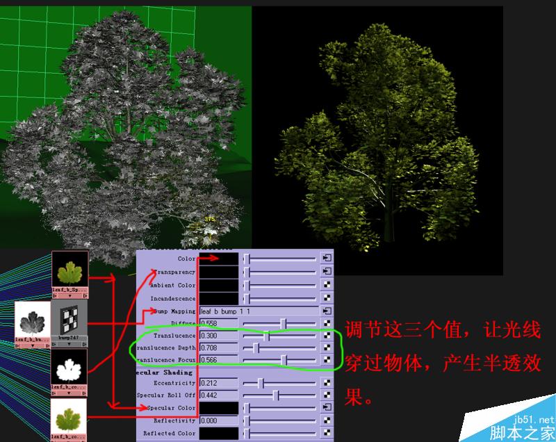 Maya打造真实热带雨林 脚本之家 MAYA材质灯光