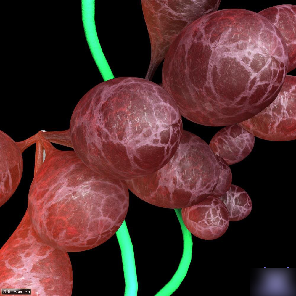 MAYA SSS材质教程 脚本之家 maya材质灯光