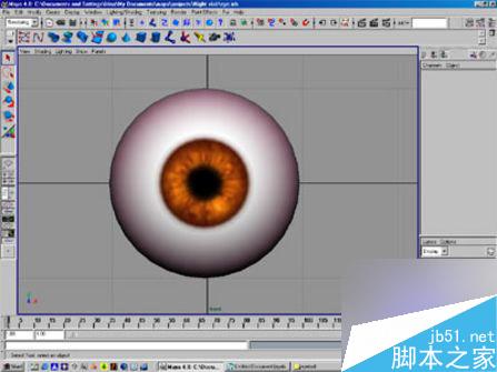 用MAYA快速制作眼球的方法 脚本之家 MAYA材质灯光