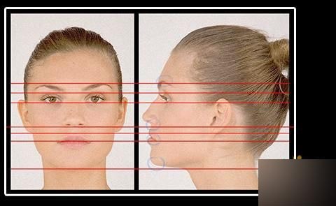 MAYA人头建模终极秘笈 脚本之家 MAYA建模教程