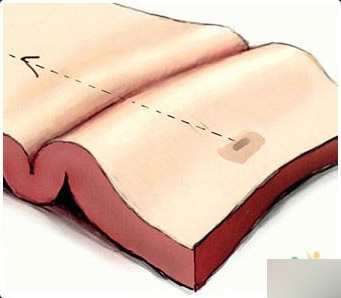 maya人头建模终极秘笈 脚本之家 maya建模教程