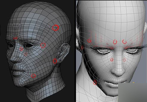 maya人头建模终极秘笈 脚本之家 maya建模教程