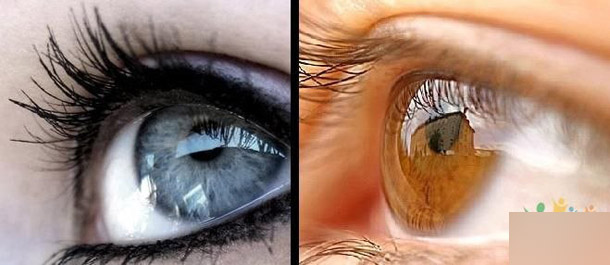 maya人头建模终极秘笈 脚本之家 maya建模教程