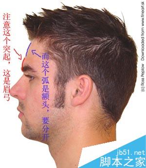 MAYA人体建模常见问题分析 脚本之家 MAYA建模教程