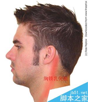 maya人体建模常见问题分析 脚本之家 maya建模教程