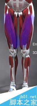 maya人体建模常见问题分析 脚本之家 maya建模教程