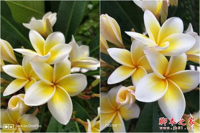 荣耀9和一加5买哪个好？一加手机5与华为荣耀9性能/外观/系统/拍照区别对比评测