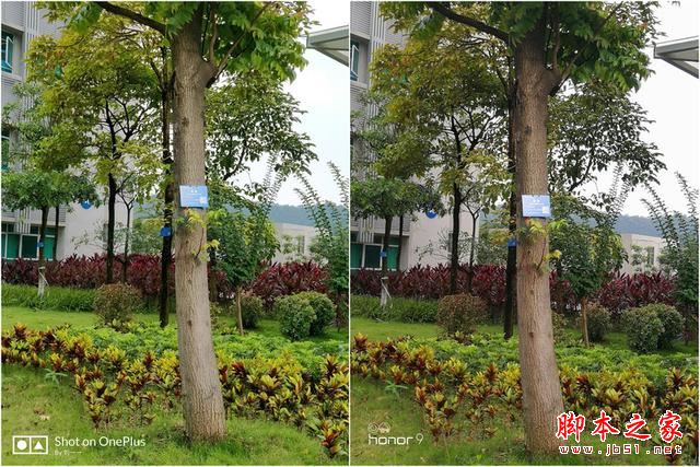 荣耀9和一加5买哪个好？一加手机5与华为荣耀9性能/外观/系统/拍照区别对比评测