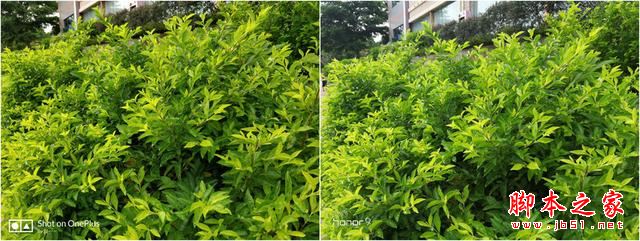 荣耀9和一加5买哪个好？一加手机5与华为荣耀9性能/外观/系统/拍照区别对比评测