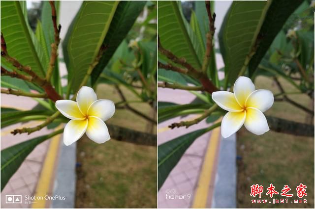 荣耀9和一加5买哪个好？一加手机5与华为荣耀9性能/外观/系统/拍照区别对比评测