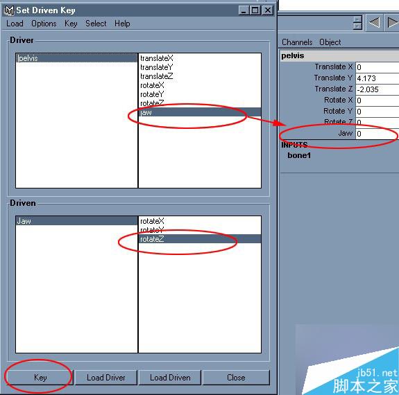 maya制作龙 脚本之家