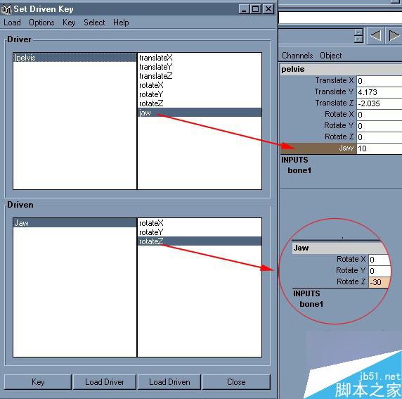 maya制作龙 脚本之家