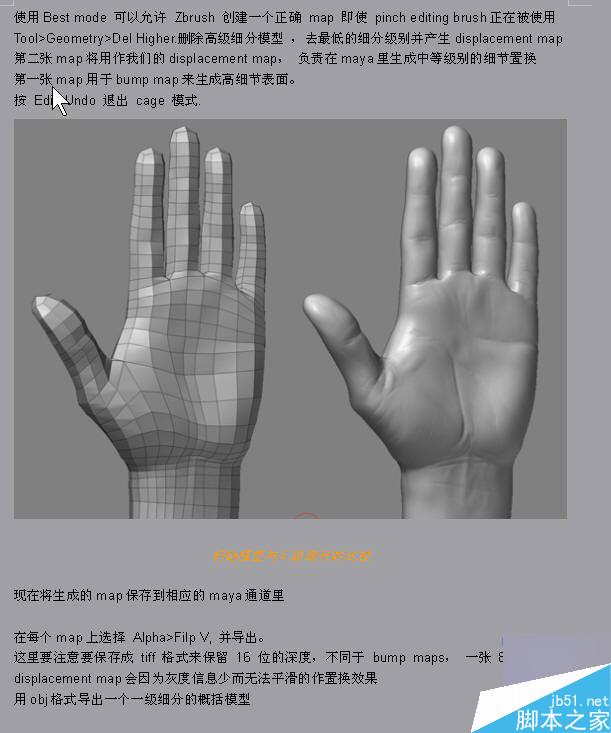 Maya结合Zbrush共创高精度手掌模型 脚本之家 MAYA建模教程
