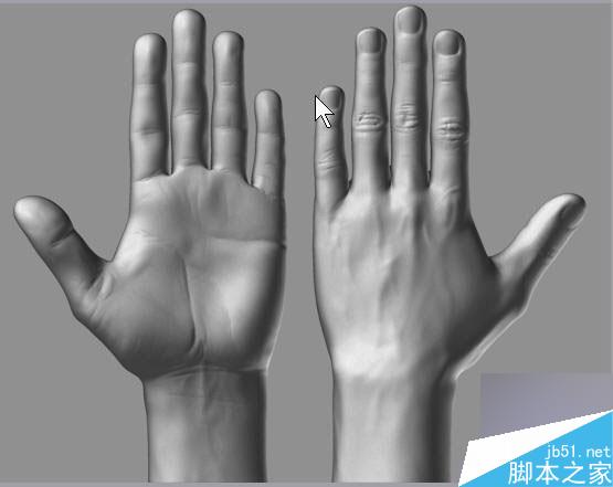 Maya结合Zbrush共创高精度手掌模型 脚本之家 MAYA建模教程