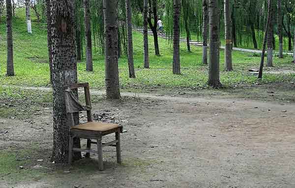 荣耀9和OPPO R11哪个拍摄效果好？两款手机拍照样张对比