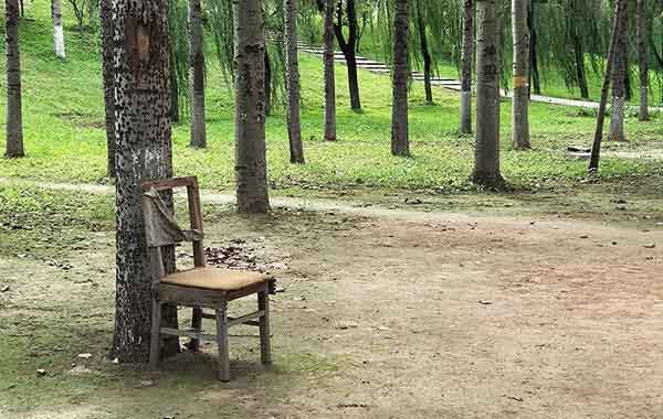 荣耀9和OPPO R11哪个拍摄效果好？两款手机拍照样张对比