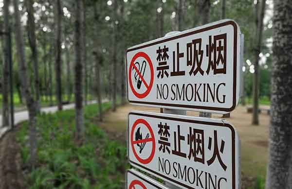 荣耀9和OPPO R11哪个拍摄效果好？两款手机拍照样张对比