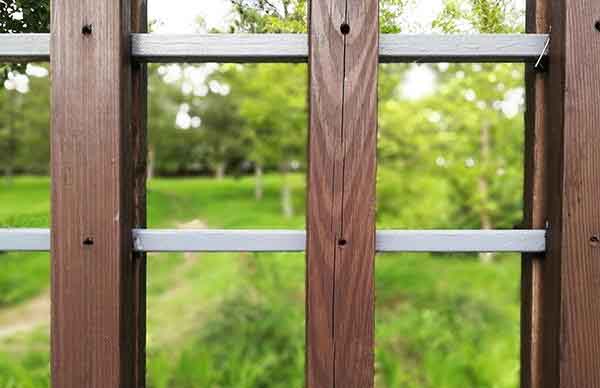 荣耀9和OPPO R11哪个拍摄效果好？两款手机拍照样张对比