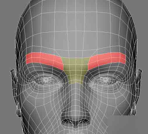 MAYA人头布线 脚本之家 MAYA建模教程