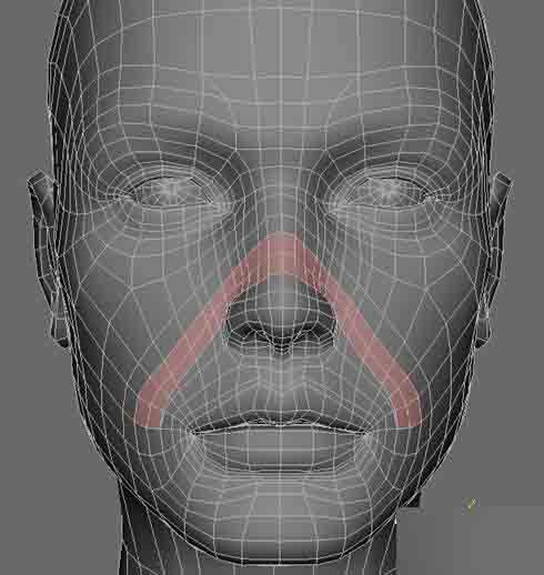 MAYA人头布线 脚本之家 MAYA建模教程