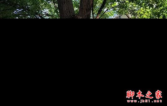 oppor11和小米5X买哪个好？小米5X与oppor11真机拍照全面实测