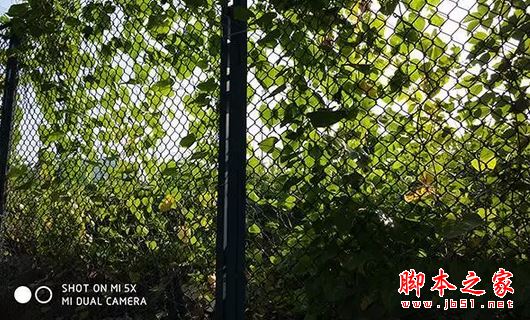 oppor11和小米5X买哪个好？小米5X与oppor11真机拍照全面实测