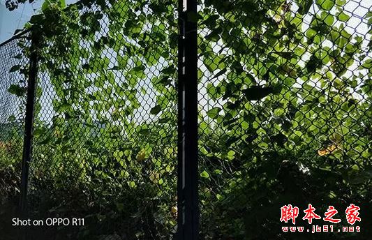 oppor11和小米5X买哪个好？小米5X与oppor11真机拍照全面实测